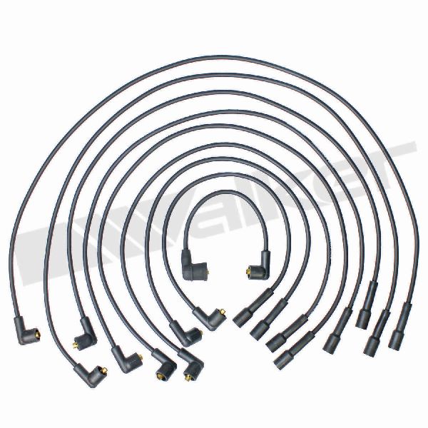1973-1974 Buick Century Spark Plug Wire Set (Walker Products)