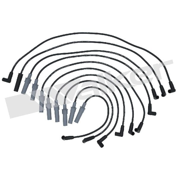 1998-1999 Dodge Durango Spark Plug Wire Set (Walker Products)