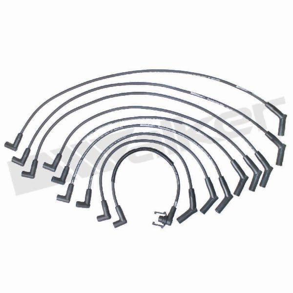 1988-1996 Ford E-350 Econoline Spark Plug Wire Set (Walker Products)