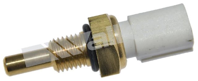 2007-2024 Honda Odyssey Engine Coolant Temperature Sensor (Walker Products)