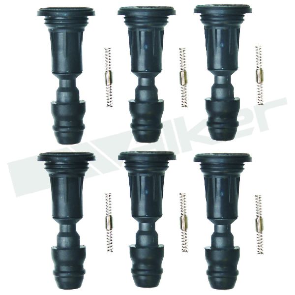 2015 GMC Canyon Coil Boot Kit (Walker Products)