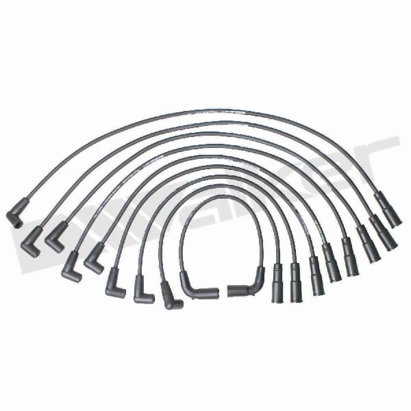 1996-2002 Chevrolet Express 2500 Spark Plug Wire Set (Walker Products)