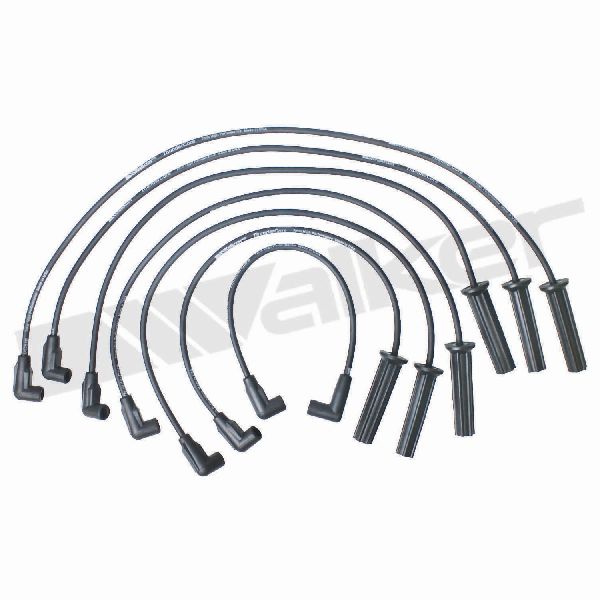 1982-1986 Buick Century Spark Plug Wire Set (Walker Products)