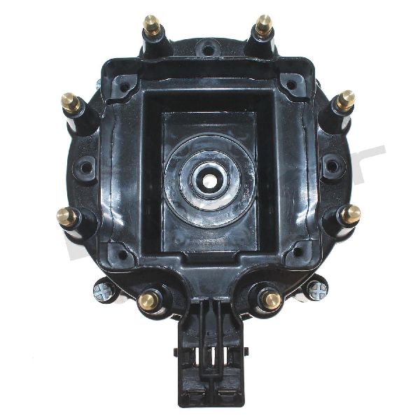 1974-1981 Buick Century Distributor Cap (Walker Products)