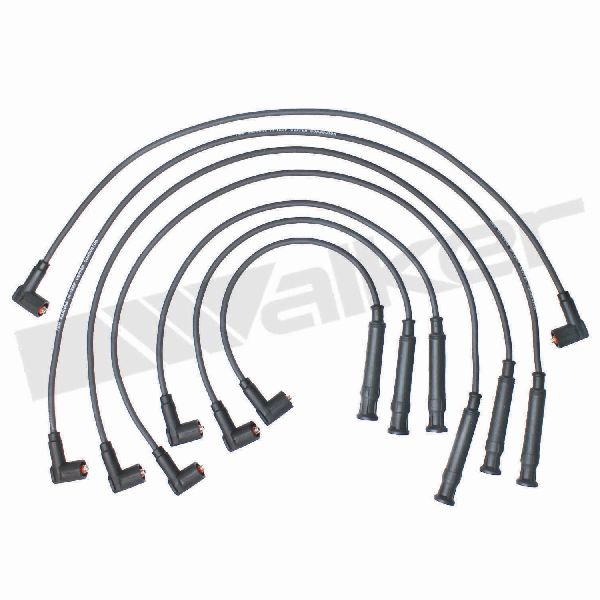1983-1984 BMW 533i Spark Plug Wire Set (Walker Products)