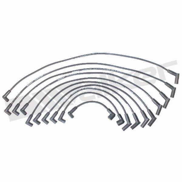 1984-1987 Ford E-350 Econoline Spark Plug Wire Set (Walker Products)