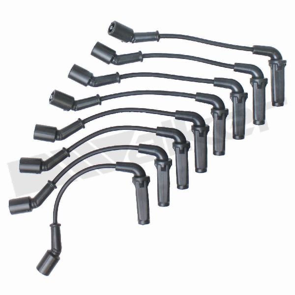 2003-2007 Chevrolet Express 2500 Spark Plug Wire Set (Walker Products)