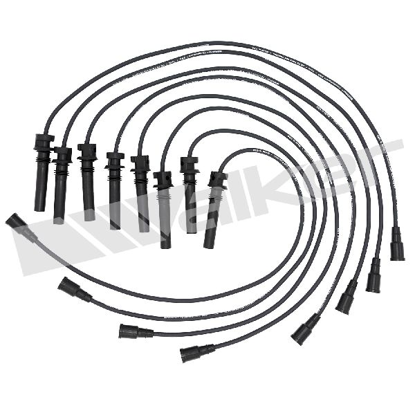 2004-2005 Dodge Durango Spark Plug Wire Set (Walker Products)