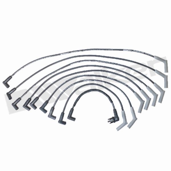 1993-1995 Ford F-150 Spark Plug Wire Set (Walker Products)
