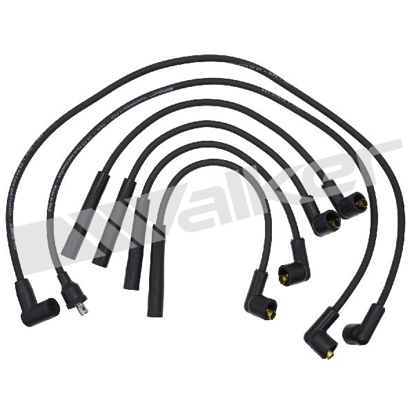 1979-1981 Nissan 310 Spark Plug Wire Set (Walker Products)
