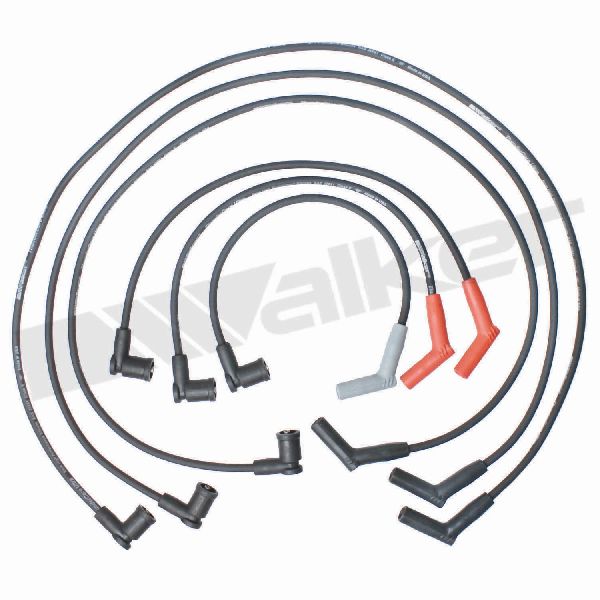 2005-2006 Ford F-150 Spark Plug Wire Set (Walker Products)