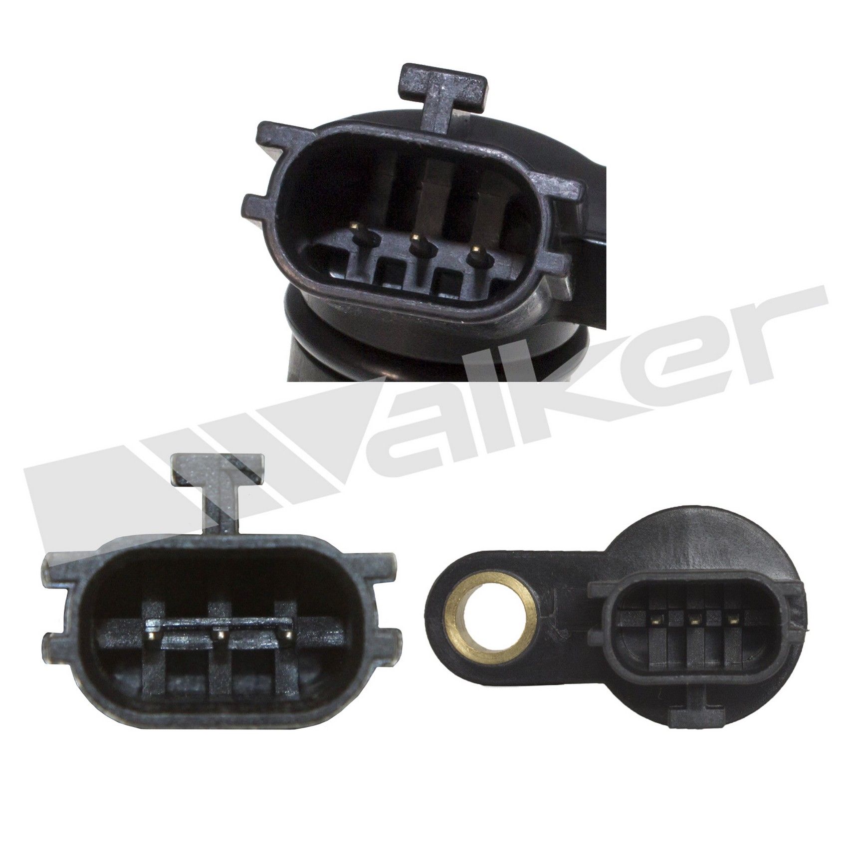 Engine Camshaft Position Sensor