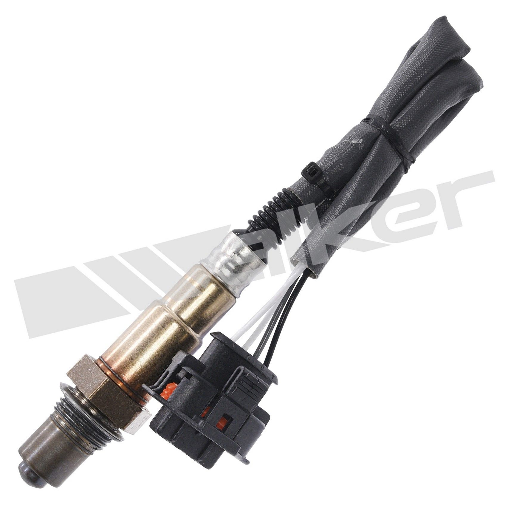 View 5