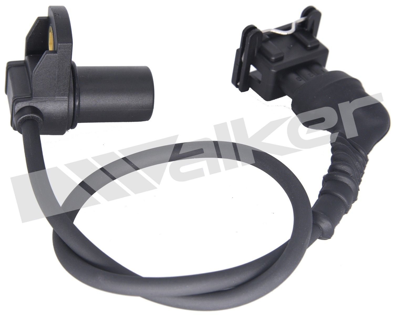 1995, 1994 BMW M3 Engine Camshaft Position Sensor