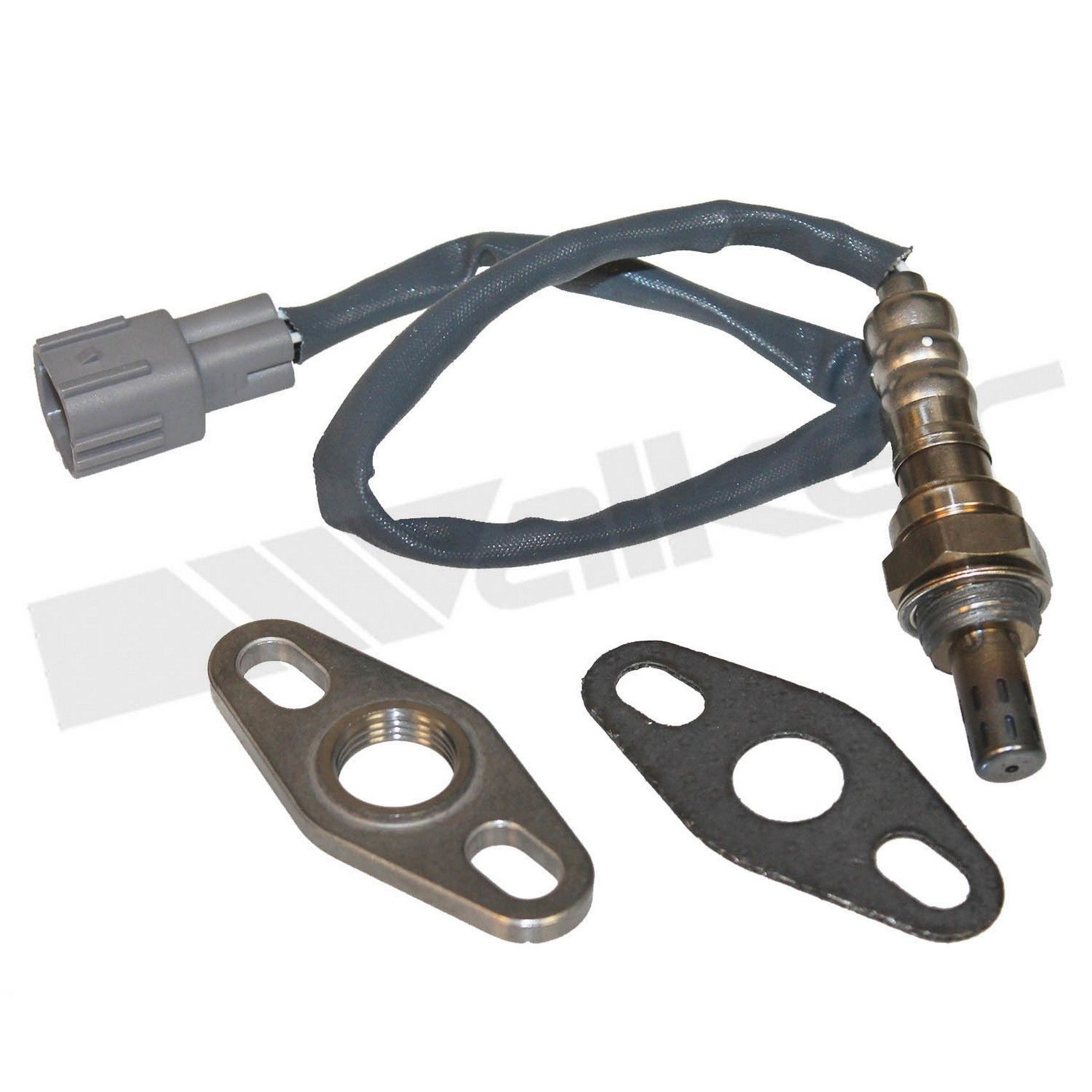 View 5