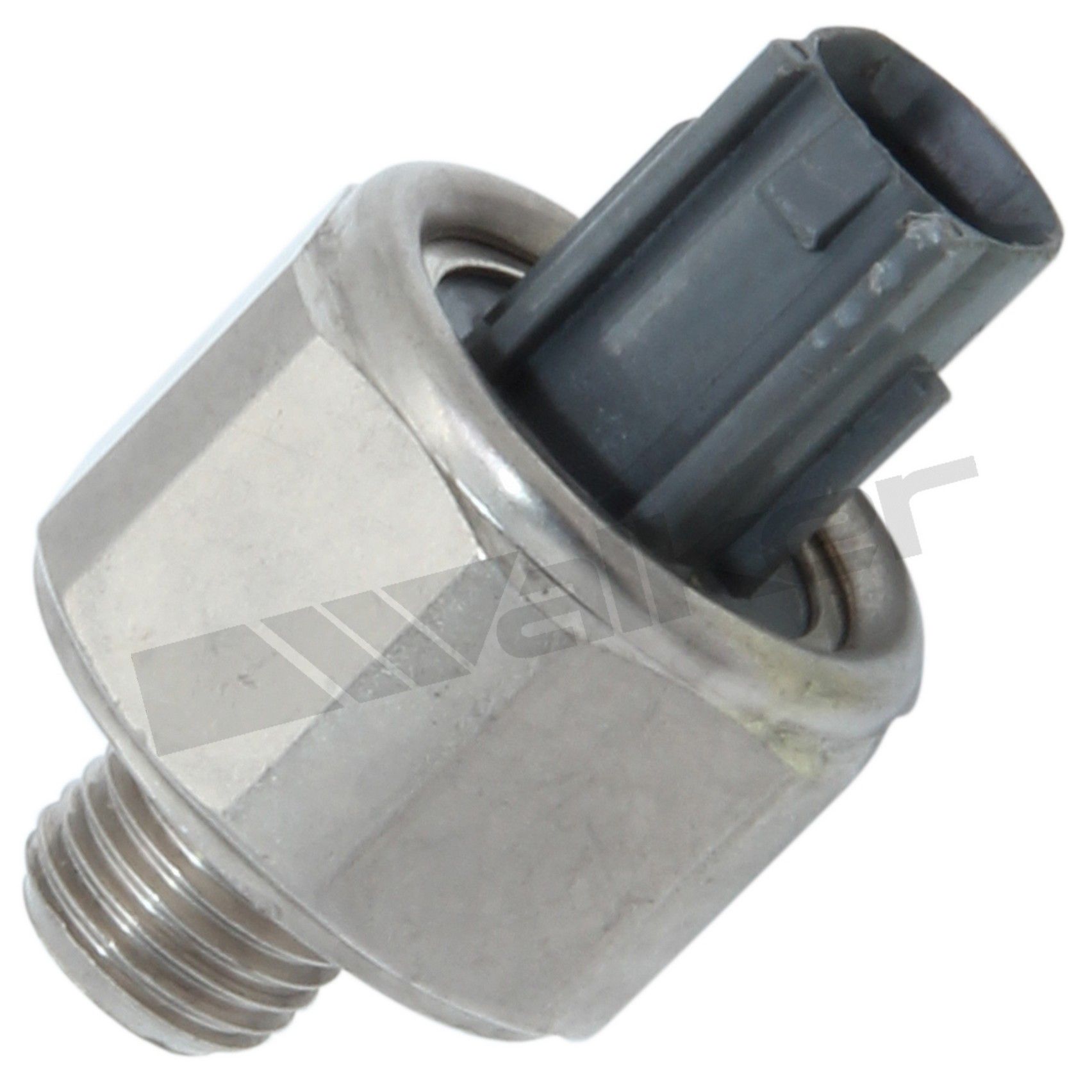 View 5