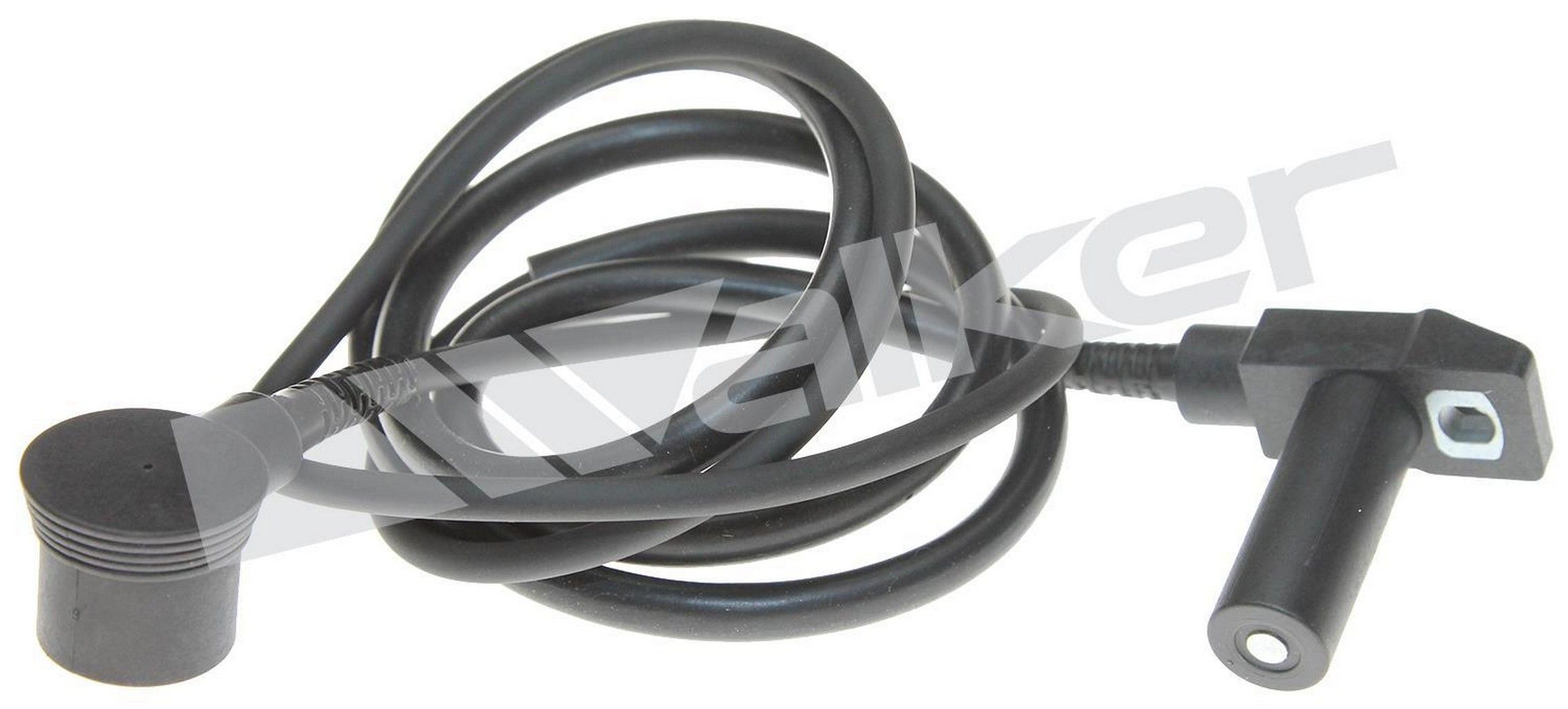 Engine Crankshaft Position Sensor