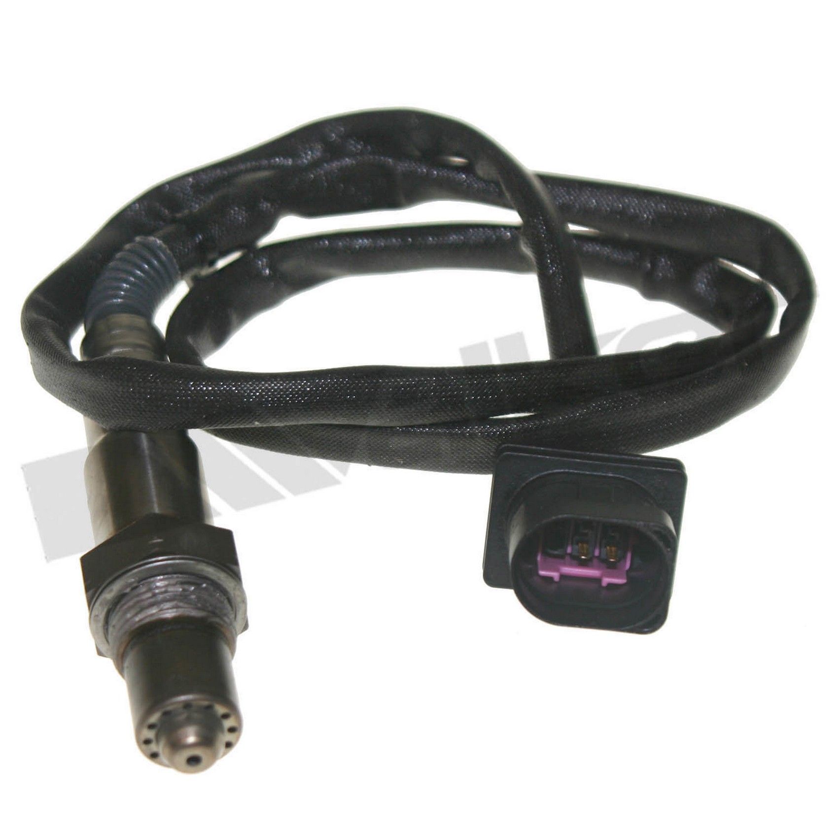 View 5