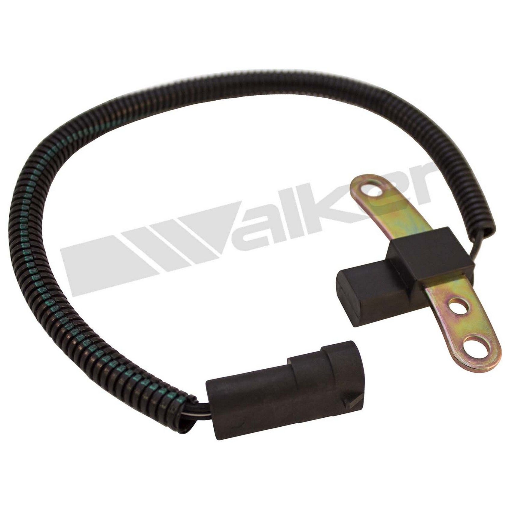 Engine Crankshaft Position Sensor