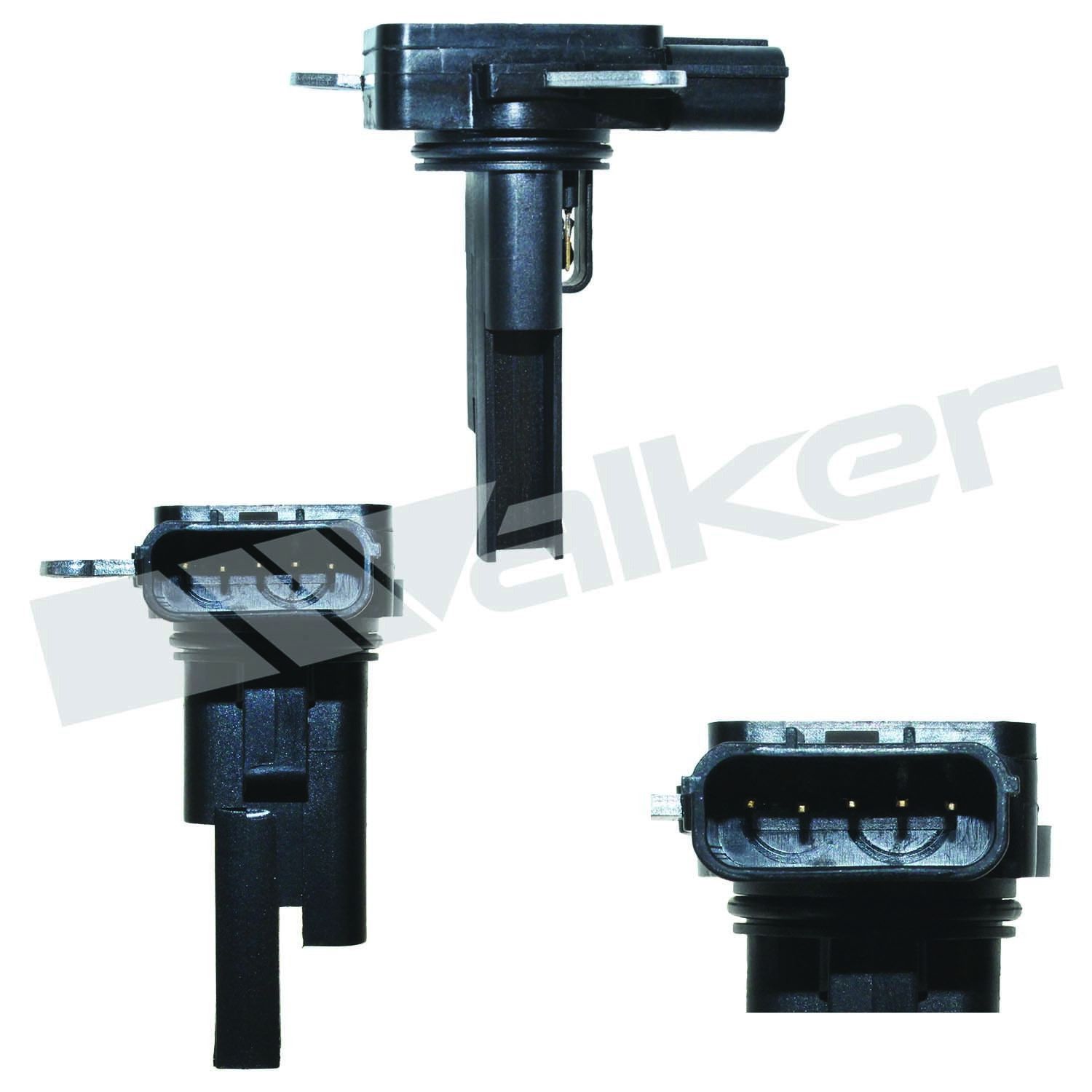 View 4