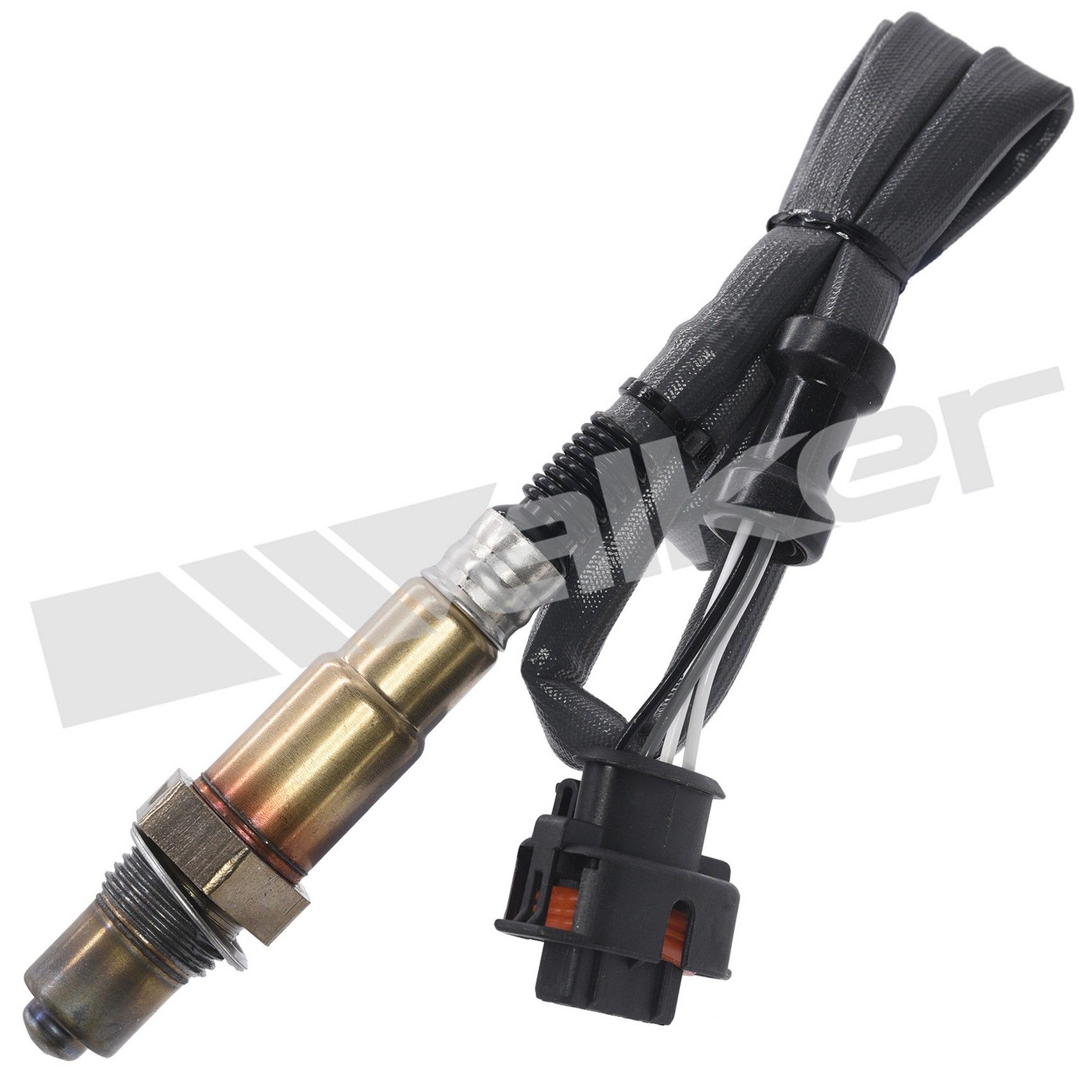 View 5