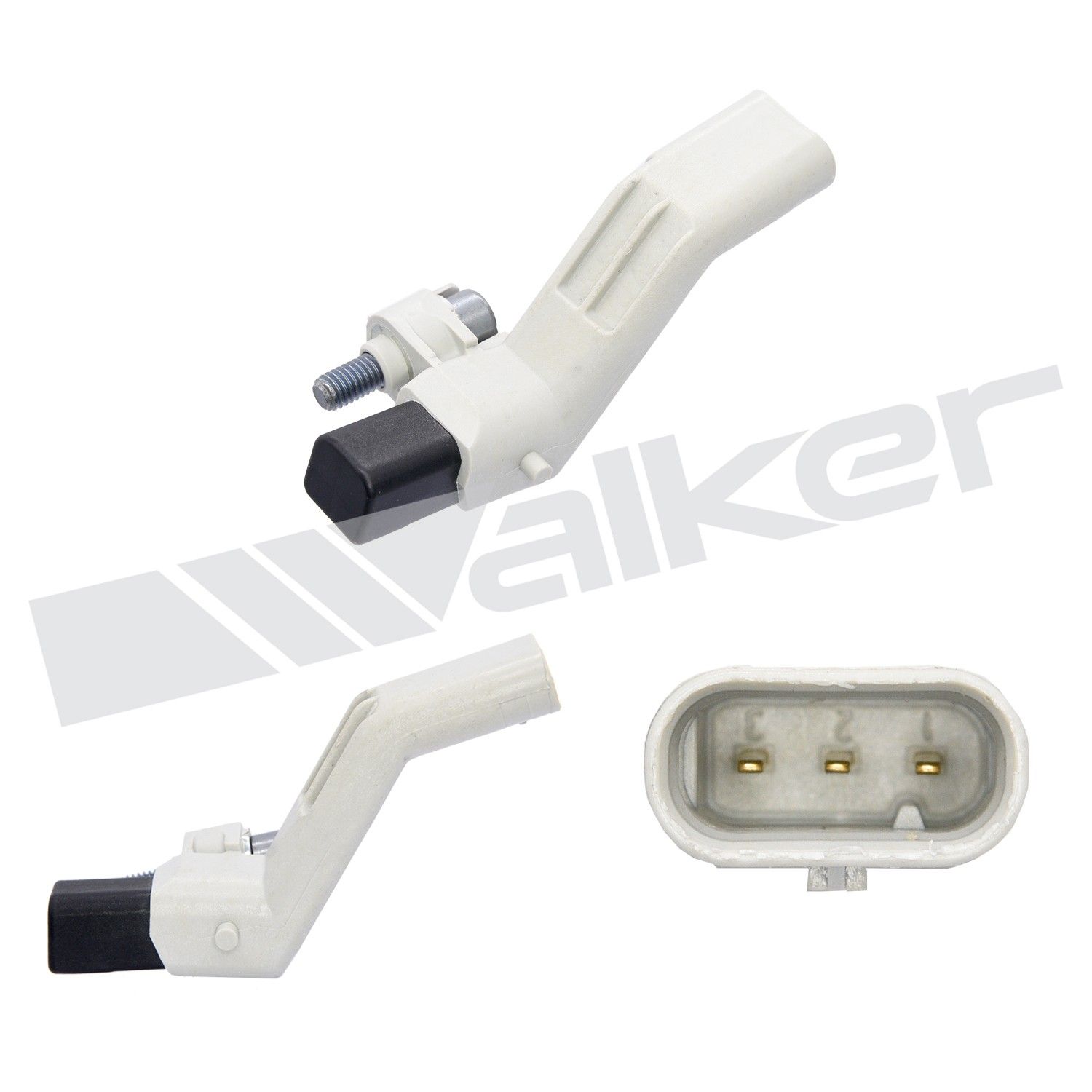 View 4