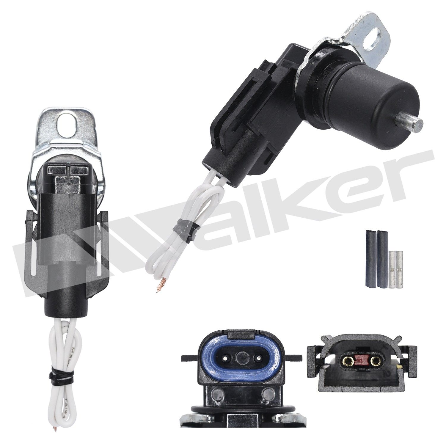 View 4