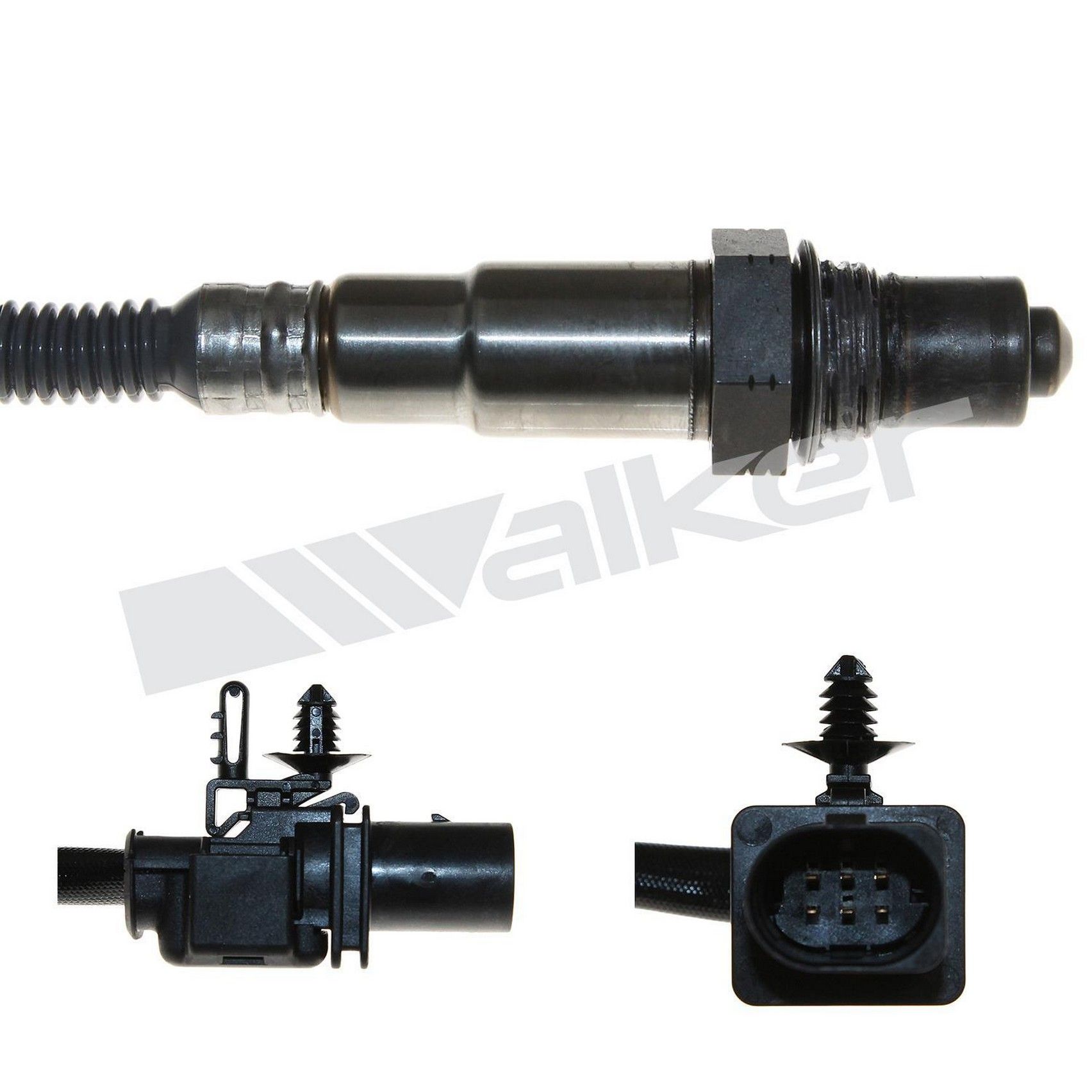 View 4