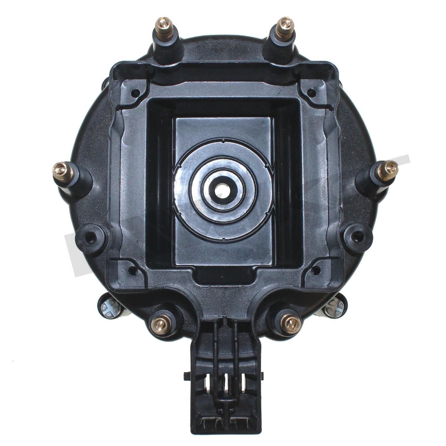 Distributor Cap