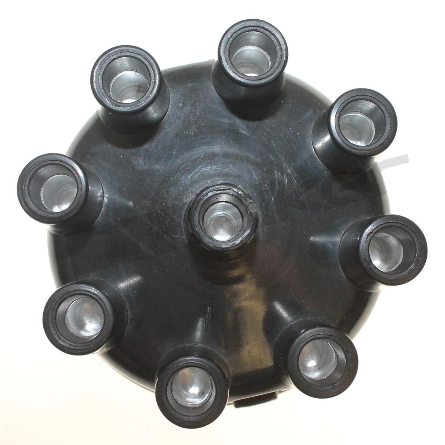 Distributor Cap