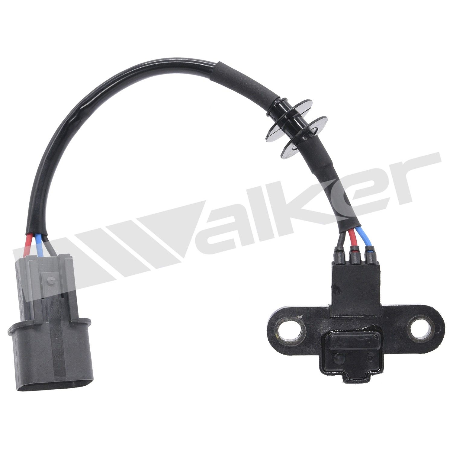 2004 Audi RS6 Engine Camshaft Position Sensor