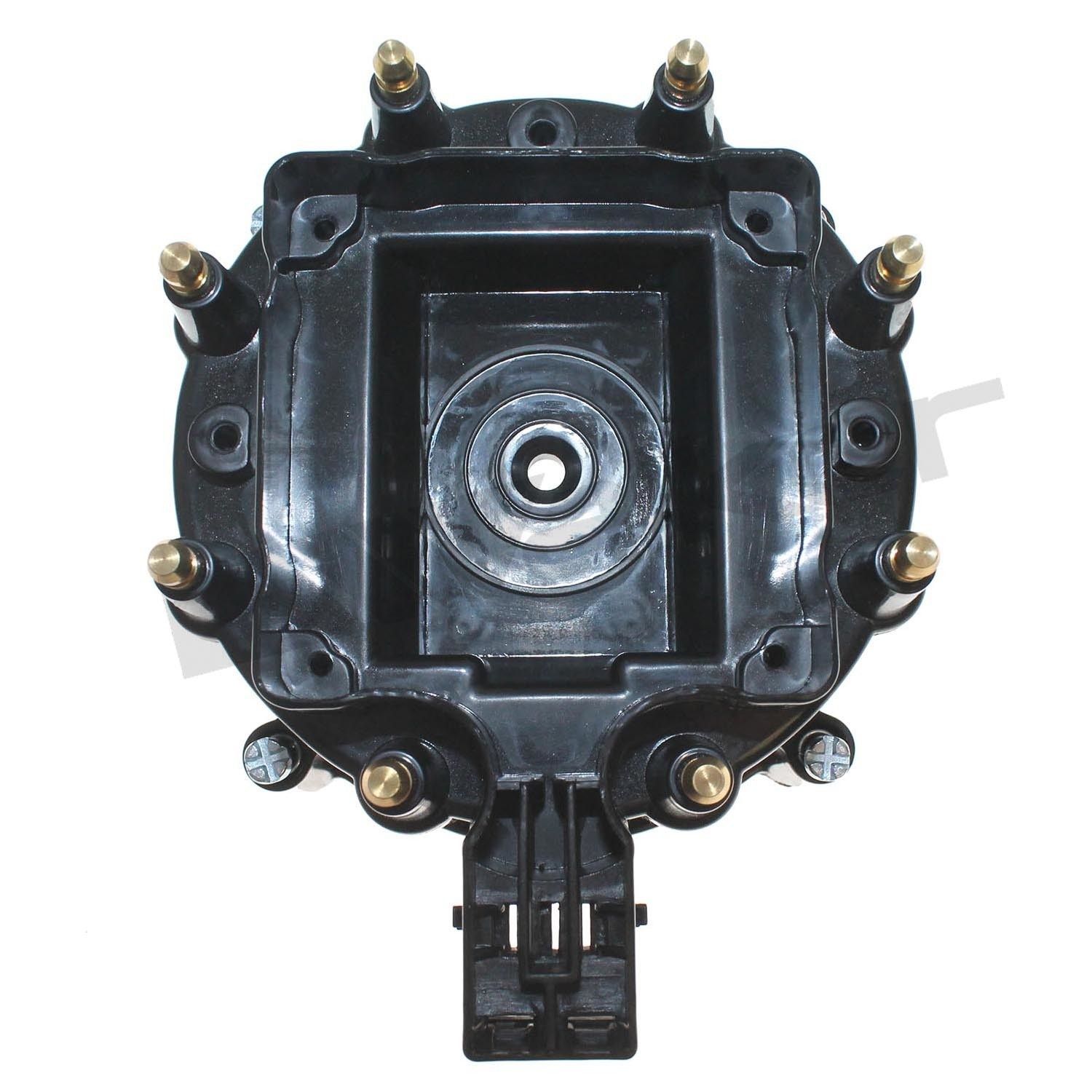 Distributor Cap