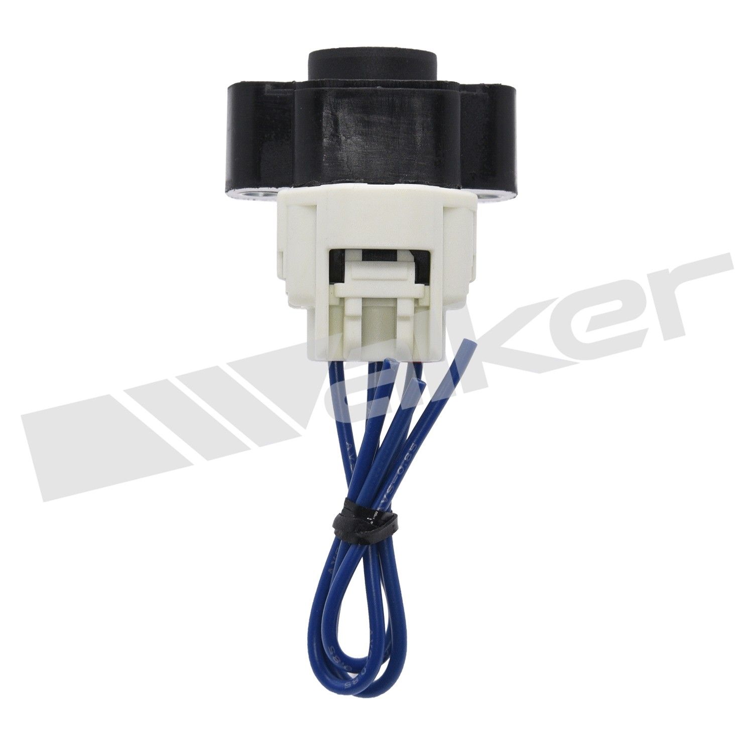 Throttle Position Sensor