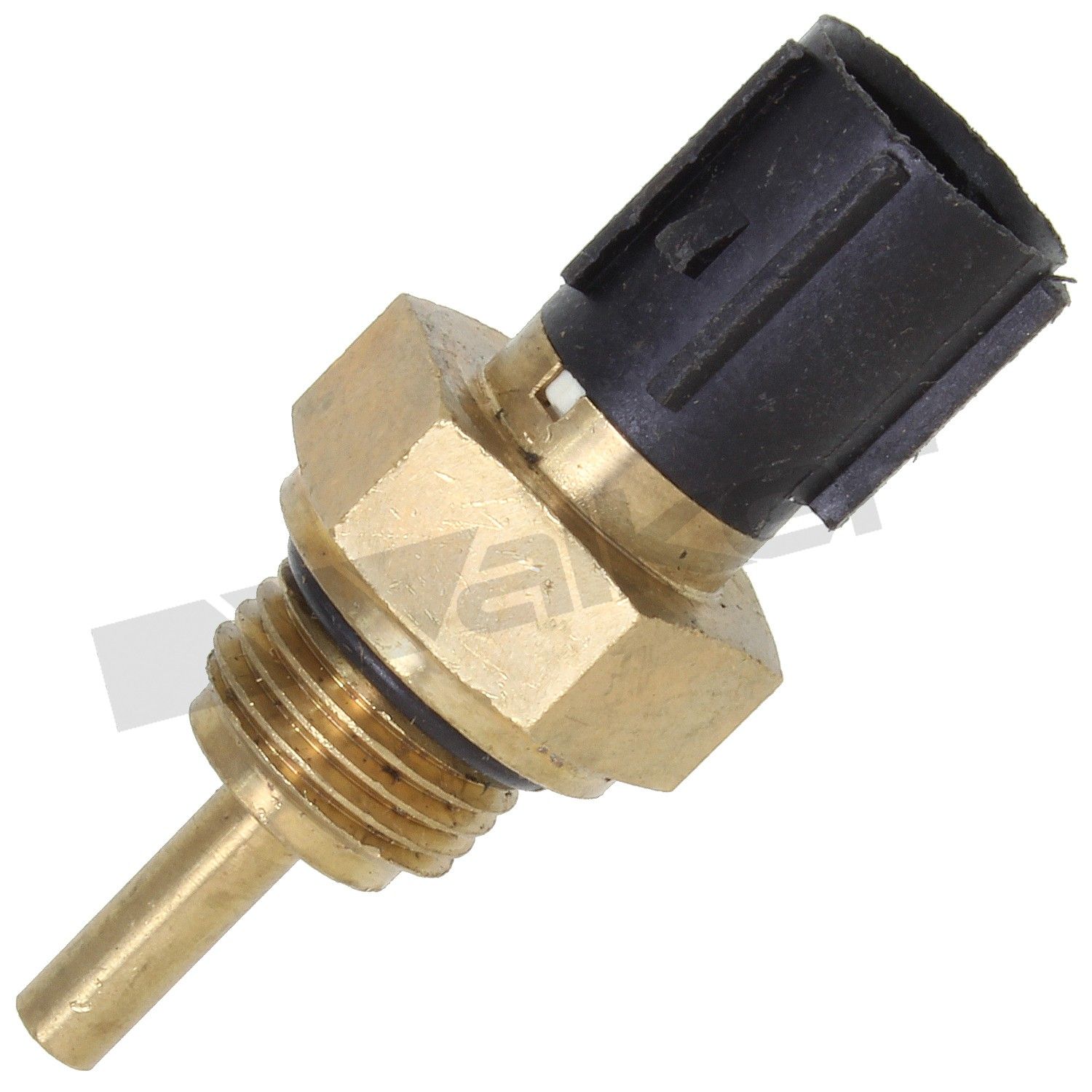 1987, 1986 Acura Integra Engine Coolant Temperature Sensor