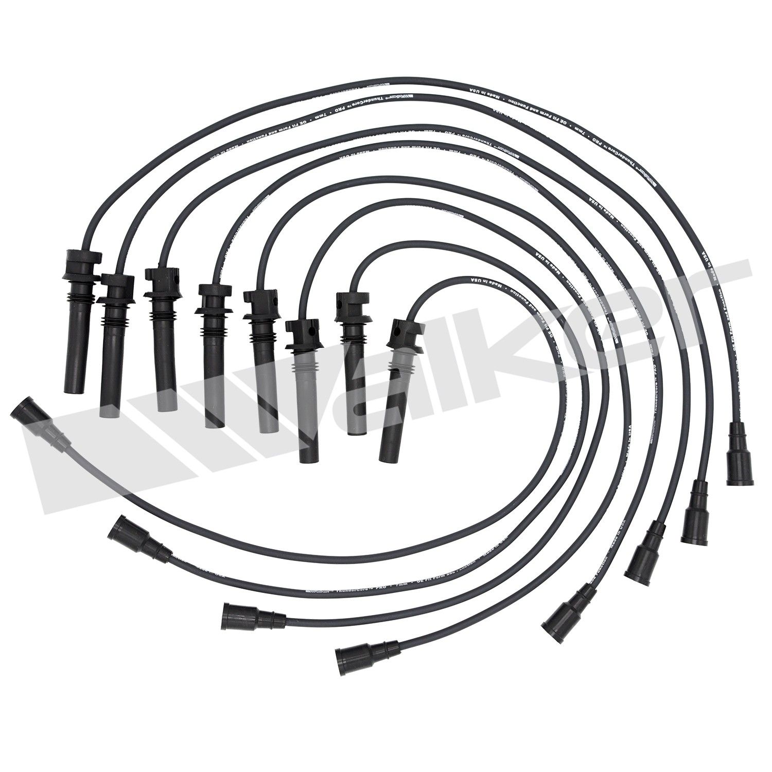 Spark Plug Wire Set