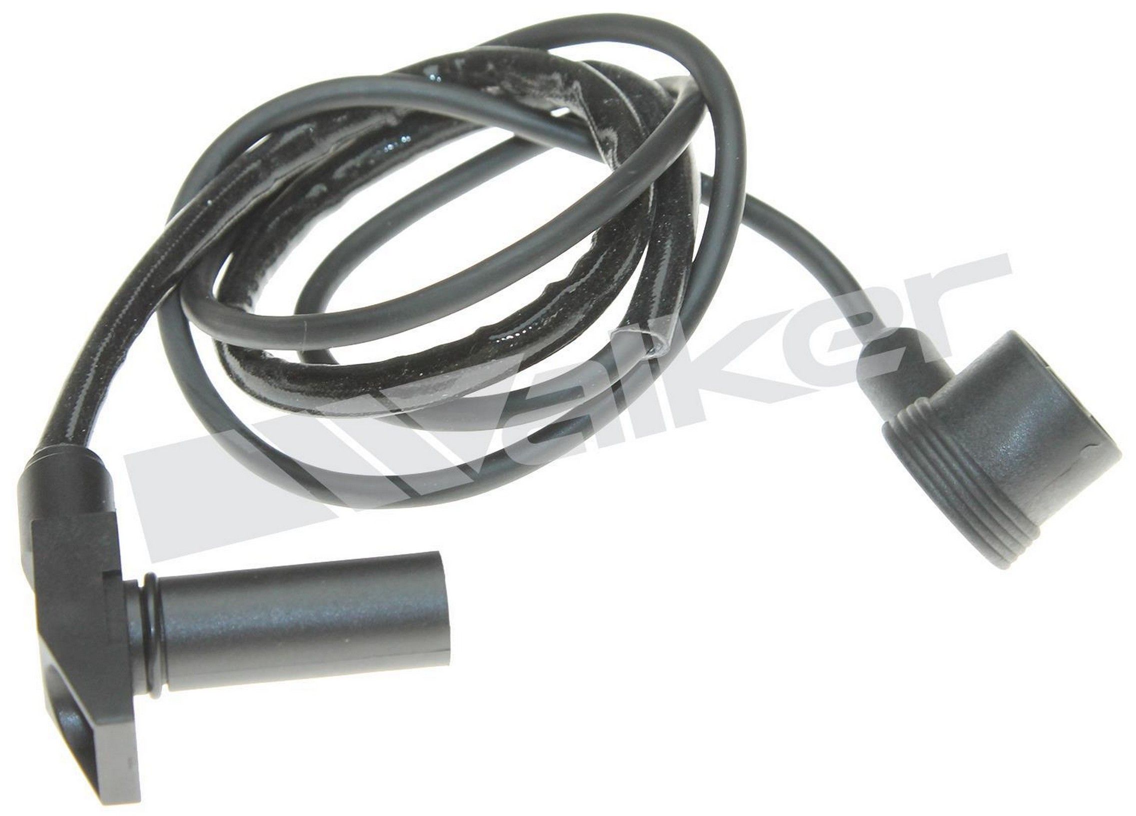 Engine Crankshaft Position Sensor
