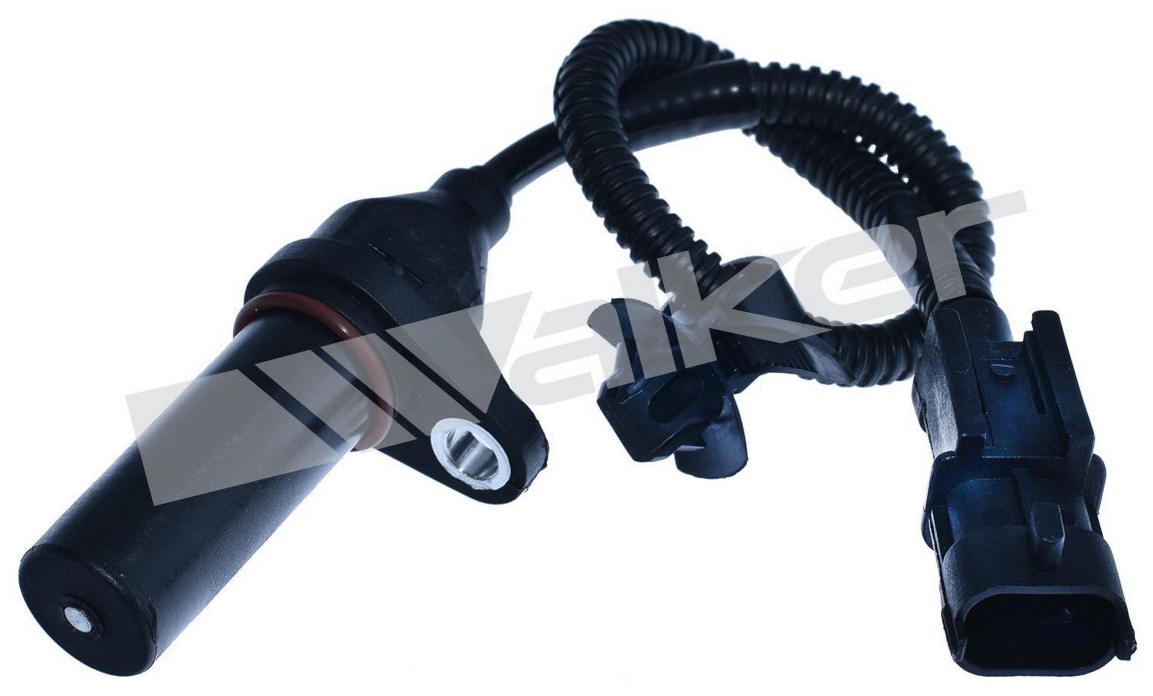 2024, 2023, 2022, 2021, 2020, 2019, 2018, 2017, 2016, 2015, 2014 Kia Forte Engine Crankshaft Position Sensor