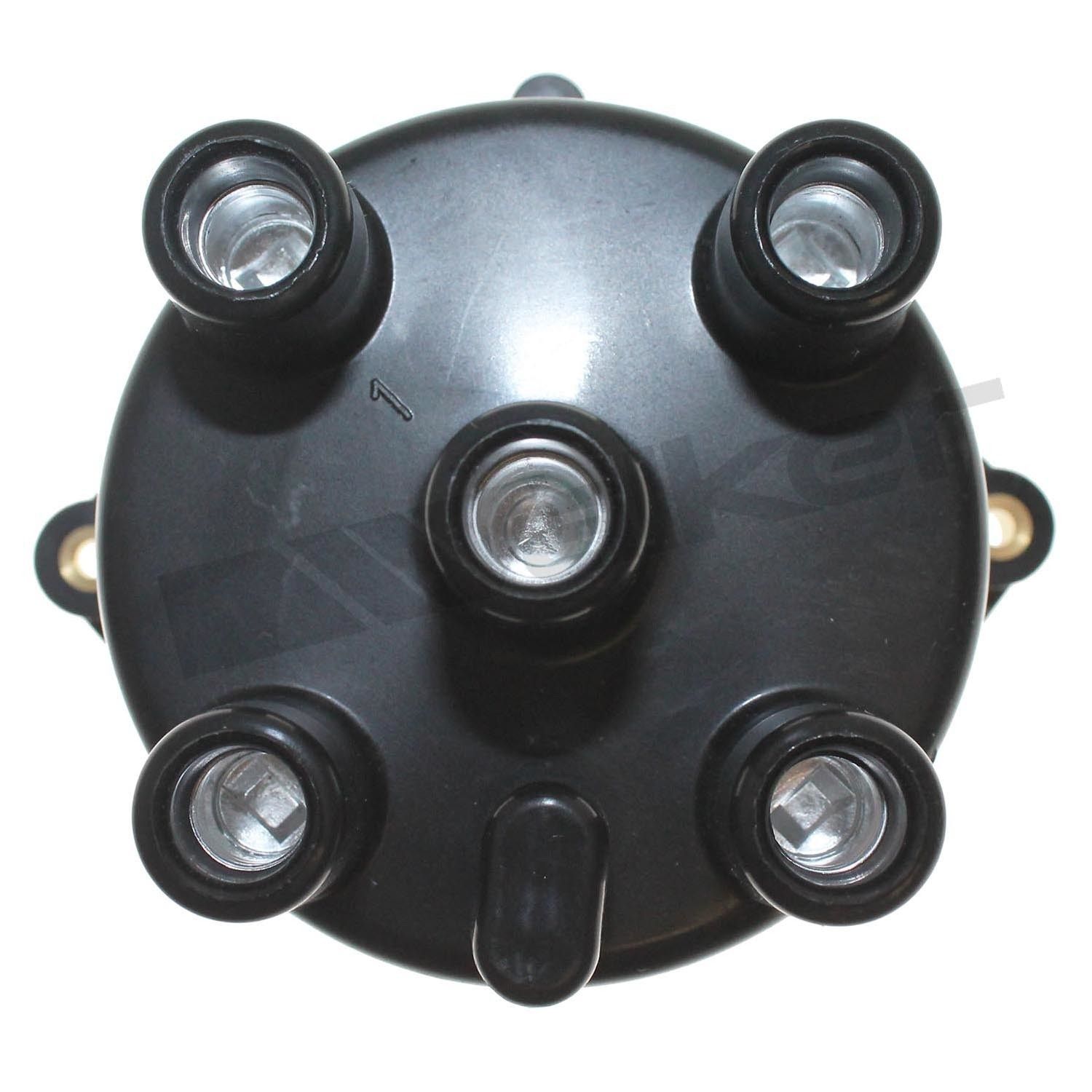 Distributor Cap