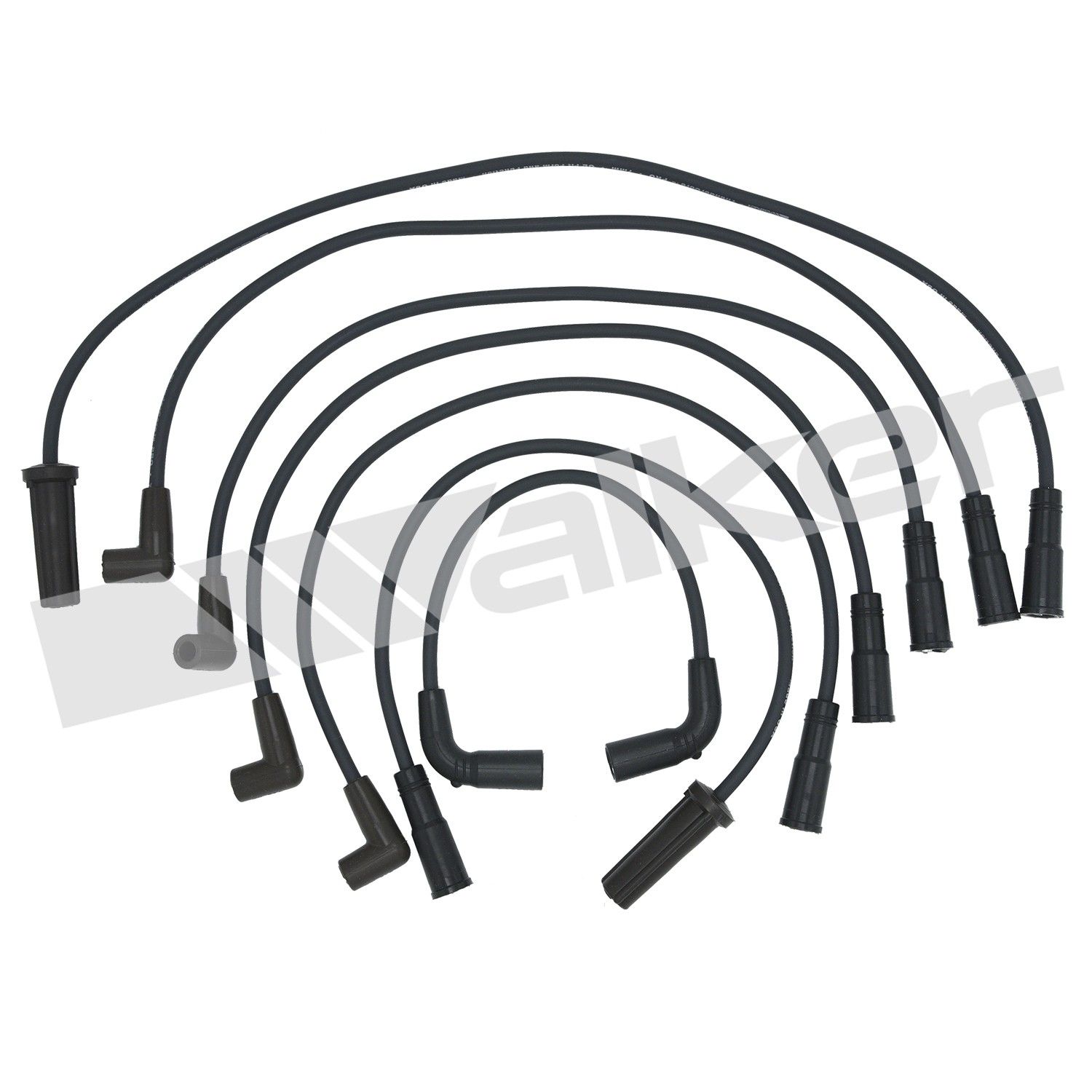 Spark Plug Wire Set