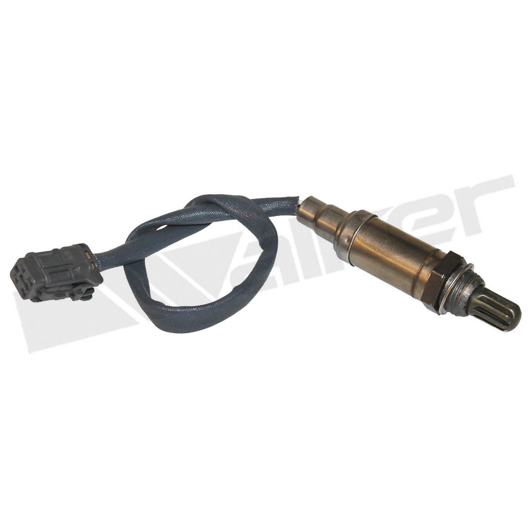 View 5