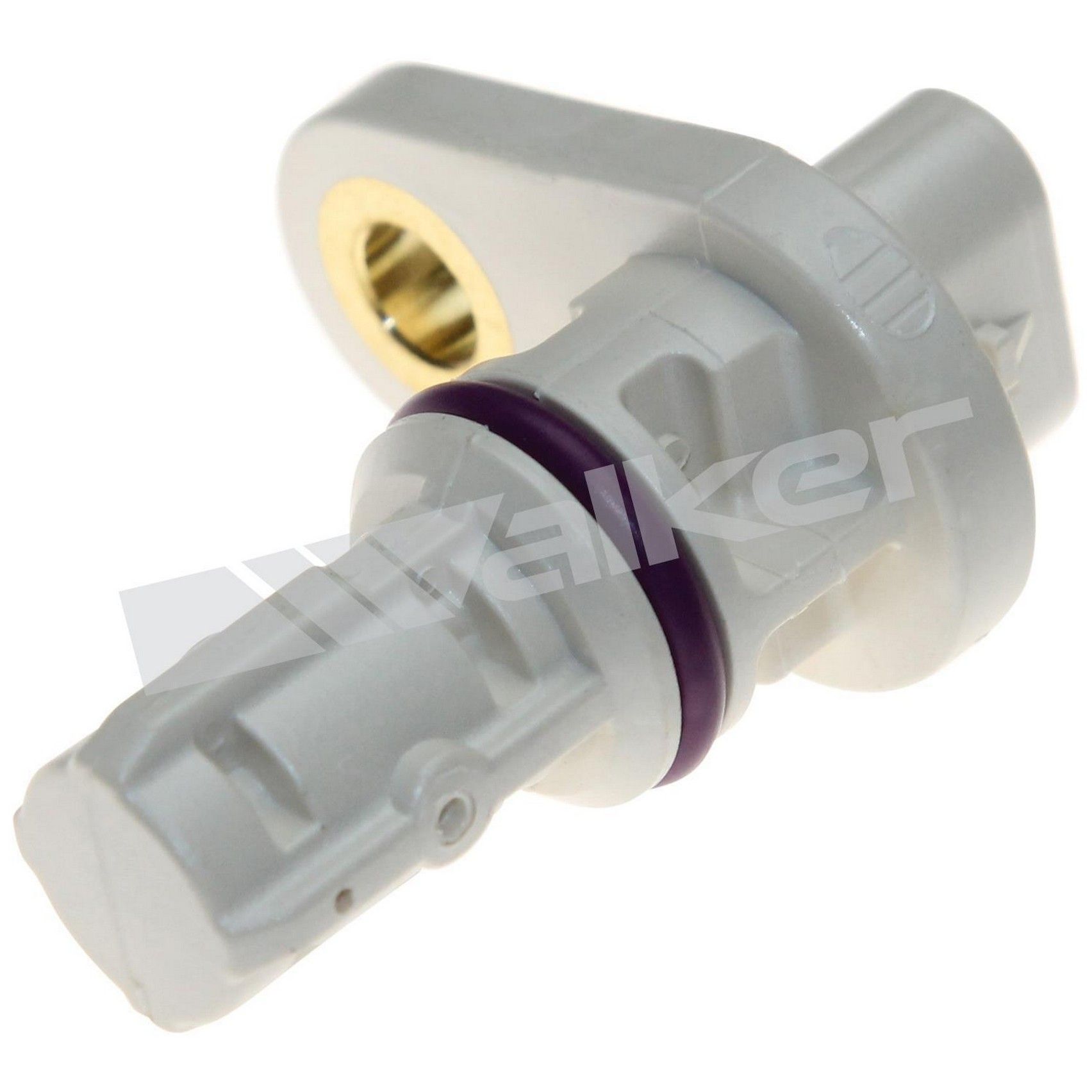 Engine Crankshaft Position Sensor
