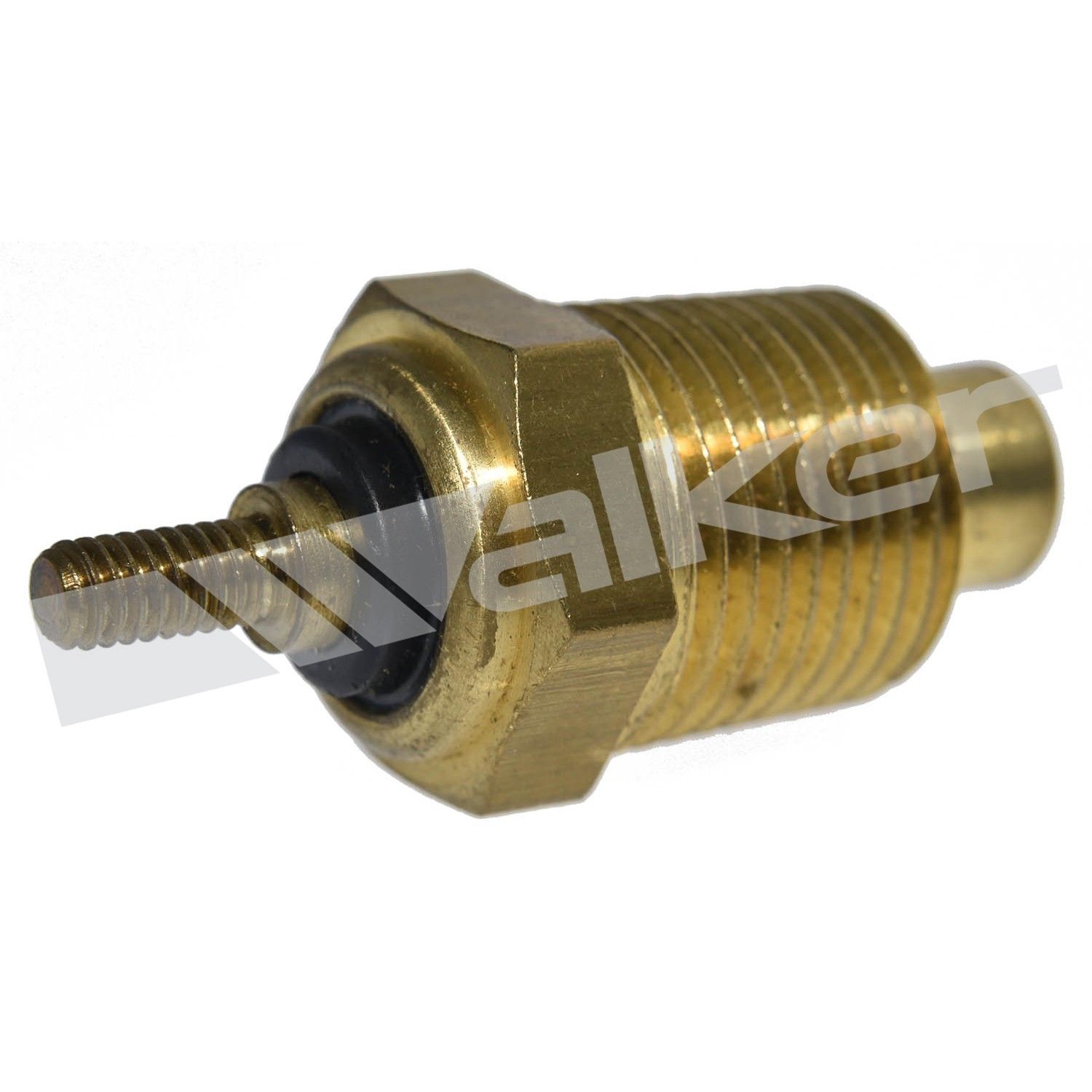 View 5