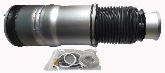 2009-2012 BMW 750i Air Suspension Spring - Rear (Westar)