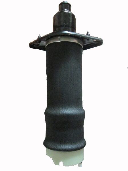 2001-2005 Audi Allroad Quattro Air Suspension Spring - Rear Right (Westar)