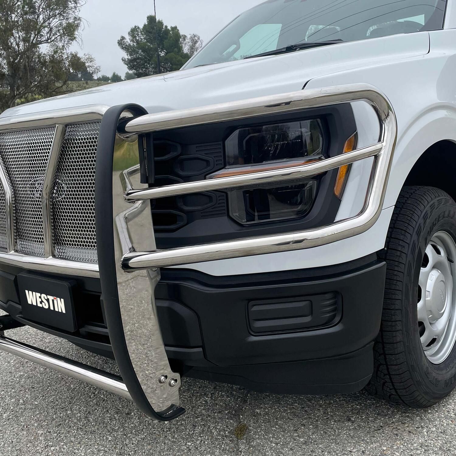 2024, 2023, 2022, 2021 Ford F-150 Grille Guard