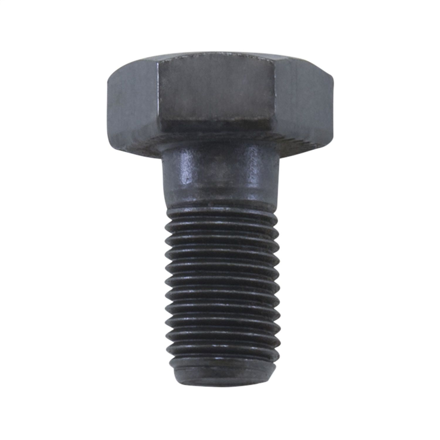 2002, 2001, 2000, 1999, 1998, 1997, 1996, 1995, 1994, 1993, 1992, 1991 Isuzu Rodeo Differential Ring Gear Bolt