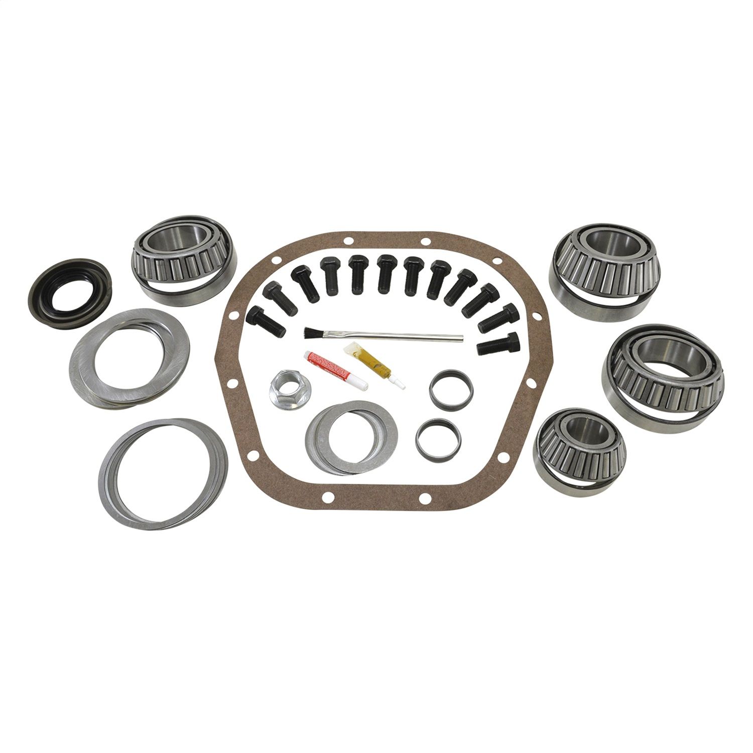 2004, 2003, 2002, 2001, 2000 Ford F-150 Econoline Differential Rebuild Kit