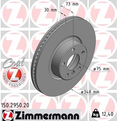 2016-2018 BMW X4 Disc Brake Rotor - Front Right (Zimmermann)