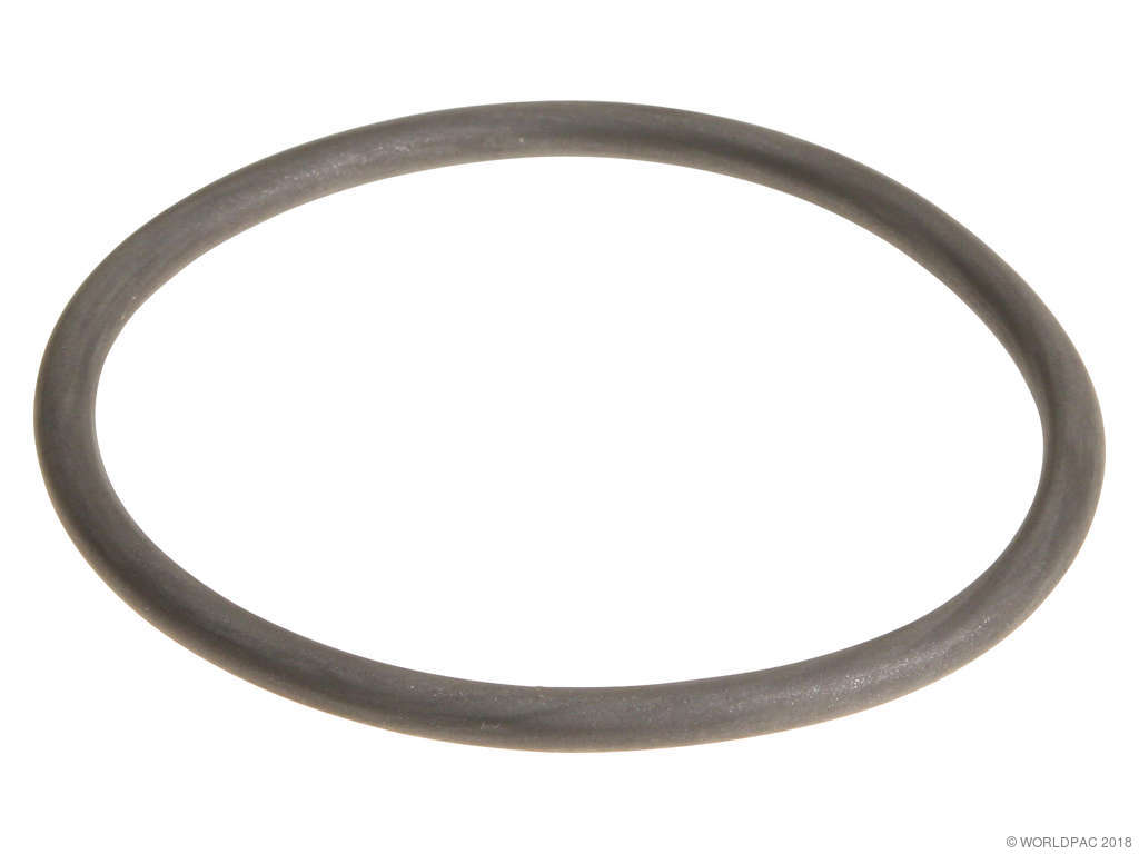 2004-2006 BMW X3 Engine Air Box Gasket (Genuine)
