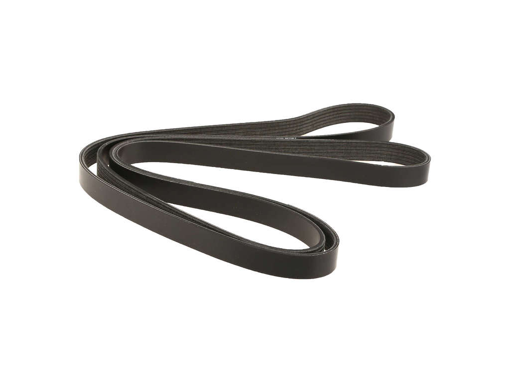 1991-1995 Jeep Cherokee Accessory Drive Belt -  or Primary (Dayco)